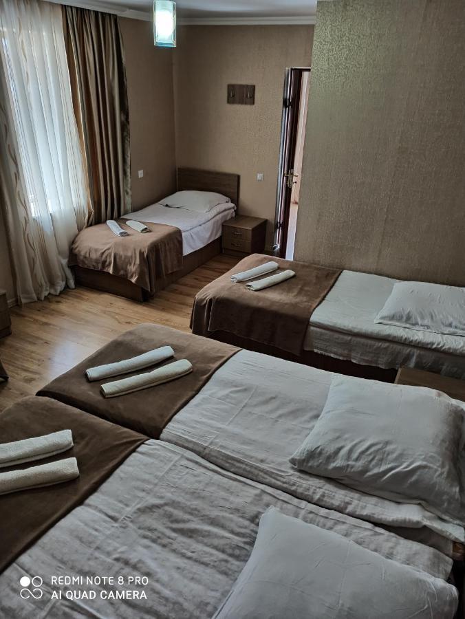 Guest House On V. Pshavela 50 カズベギ エクステリア 写真
